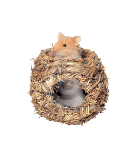 Nid végétal pour hamster - placedesvetos.com