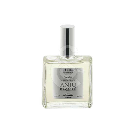 Parfum Anju Feeling Vanille - placedesvetos.com