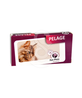 Pet-Phos pelage du Chat - placedesvetos.com