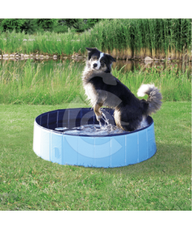 Piscine pour chien - placedesvetos.com