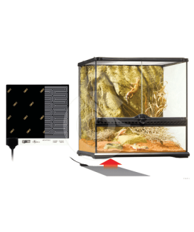 Plaque chauffante pour terrarium - placedesvetos.com