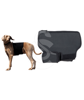 Protection lombaire pour chien Back On Track - placedesvetos.com