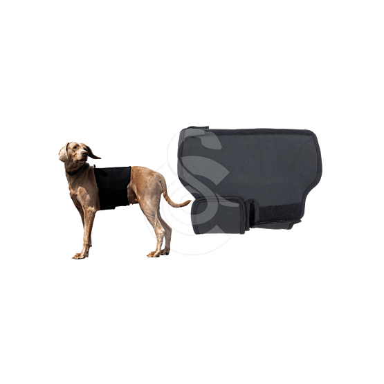 Protection lombaire pour chien Back On Track - placedesvetos.com