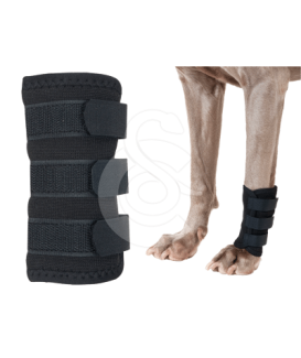 Protection patte avant pour chien Back On Track - placedesvetos.com