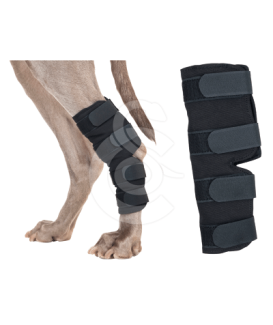 Protection patte arrière pour chien Back On Track - placedesvetos.com