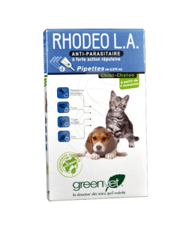 Rhodeo L.A. Chiot et Chaton - placedesvetos.com
