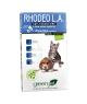 Rhodeo L.A. Chiot et Chaton