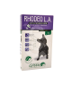 Rhodeo L.A. Pt Chien