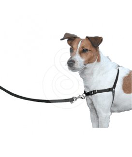 Harnais Easy Walk