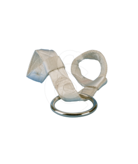 Sangle pour transport des chevaux - placedesvetos.com