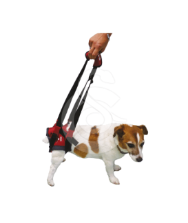 Harnais Handy-Canis pour chien paralysé du train arrière - placedesvetos.com