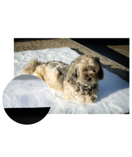 Tapis-moquette anti escarres - placedesvetos.com