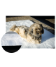 Tapis-moquette anti escarres
