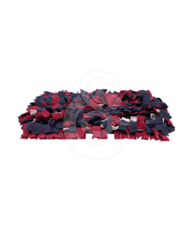 Tapis de fouille Activiy Sniffing - placedesvetos.com