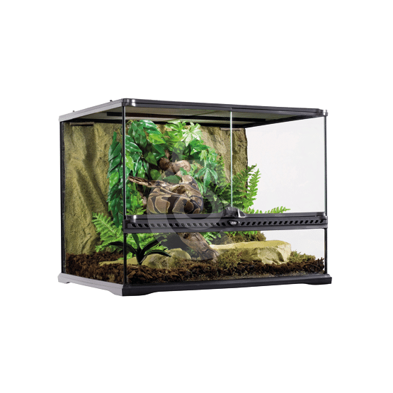 Terrarium en verre pour reptiles et amphibiens - placedesvetos.com