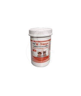 Vit'I5 Orange Poudre