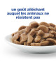 Chat Multi-Benefit Adult Multi Saveurs