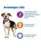 Chien Multi-Benefit + Senior Health Medium/Large