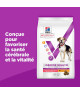 Chien Multi-Benefit + Senior Health Medium/Large
