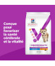 Chien Multi-Benefit + Senior Health Small / Mini