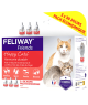 Feliway Friends