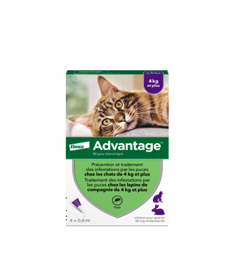 Advantage 80 Chat/Lapin