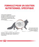 Royal Canin Cat Gastrointestinal Fibre Response Morceaux