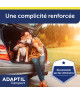 Adaptil Transport