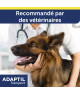 Adaptil Transport