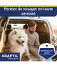 Adaptil Transport
