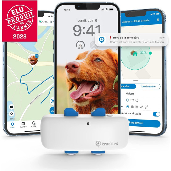 GPS Tractive Dog 4 pour chien - placedesvetos.com