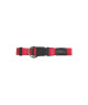 Collier Wouapy Basic Line for Dogs