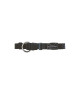 Collier Wouapy Basic Line for Dogs