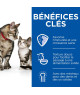 Chat Kitten and Mother Mousse Poulet & Dinde