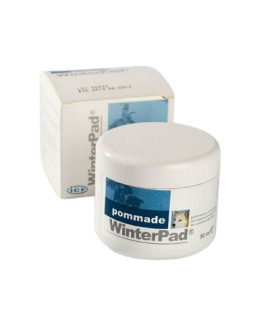 WinterPad