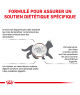 Royal Canin Gastrointestinal Kitten