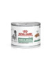 Royal Canin Dog Diabetic Special Boîte