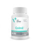Qalmil