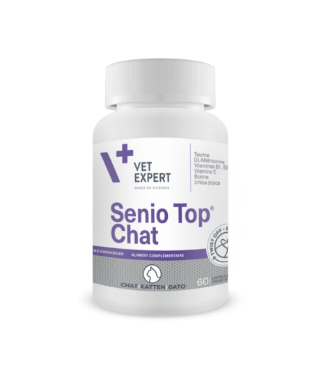 Senio Top Chat