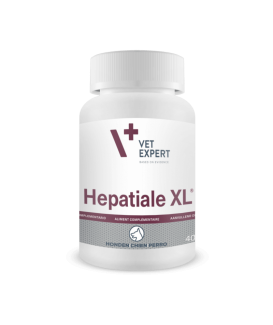Hépatiale XL