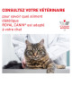 Royal Canin Cat Urinary S/O