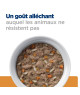 Chat k/d Kidney Mijotés Thon & Légumes