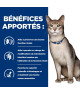 Chat k/d Kidney Mijotés Thon & Légumes