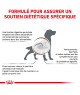 Royal Canin Dog Gastrointestinal Moderate Calorie