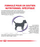 Royal Canin Calm Small Dog