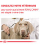 Royal Canin Cat/Dog Recovery
