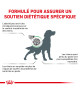 Royal Canin Dog Satiety Weight Management