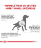 Royal Canin Dog Hepatic