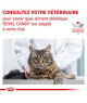 Royal Canin Cat Diabetic