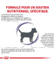 Royal Canin Neutered Adult Small Dog